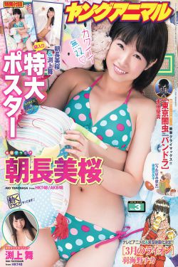 山茶花开时